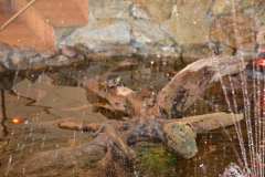 received_1027531570641286